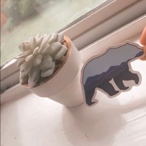 This is a polar bear that is blue and light brown